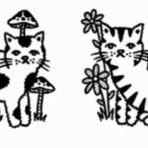 Meet your Posher, Lily